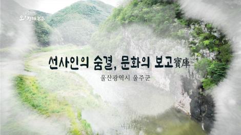 [로컬여행, 오! 정해보고] 6회 울산광역시 울주 편